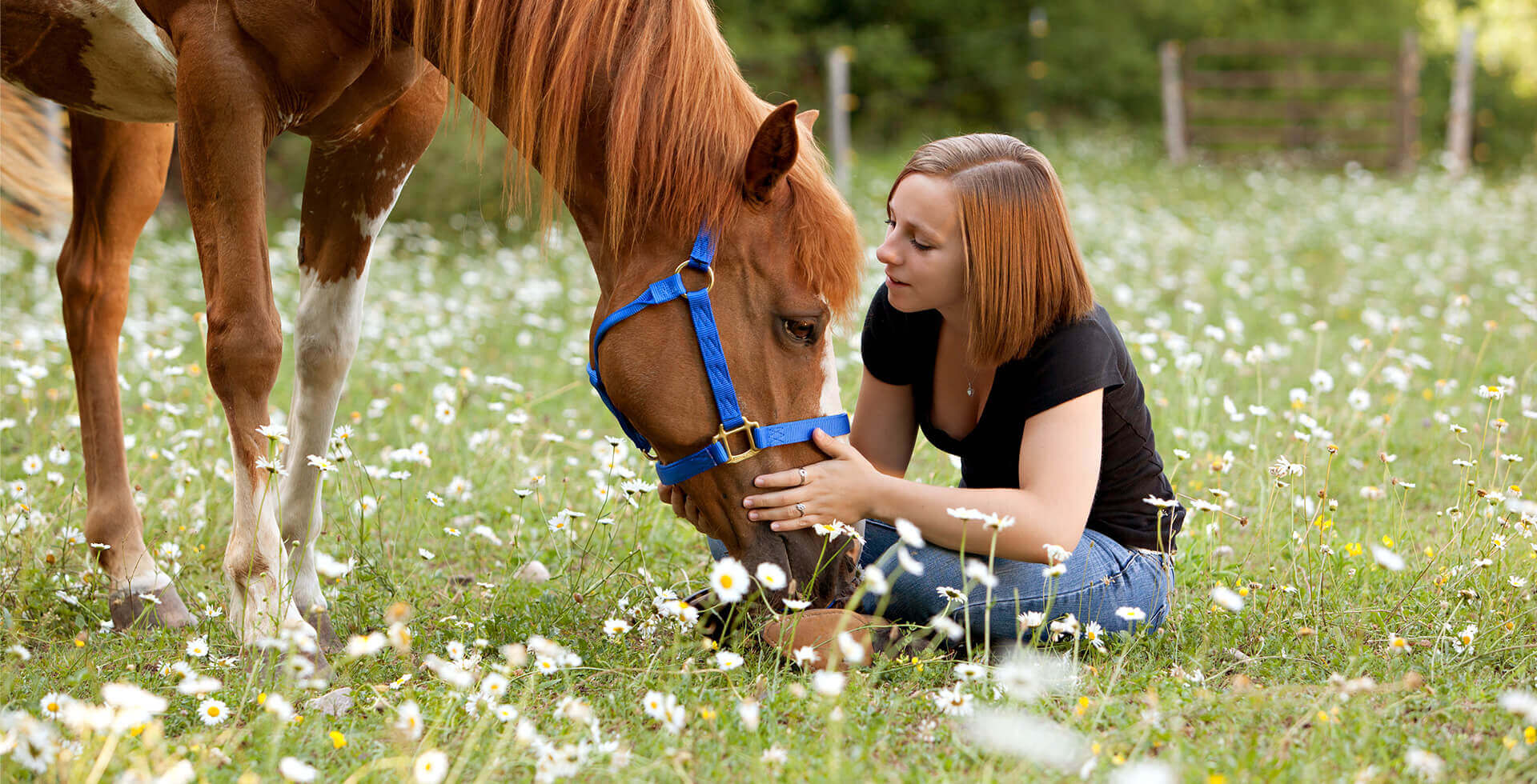 Girl with horse desktop