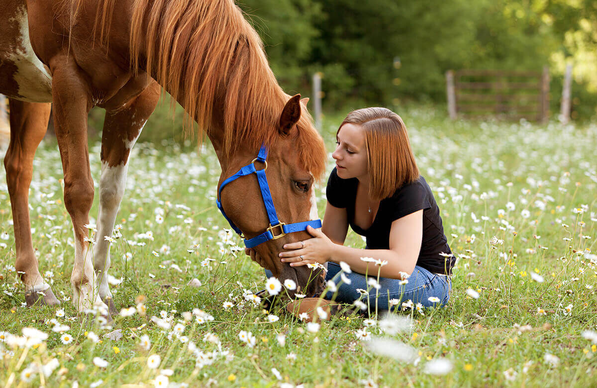 Girl with horse laptop