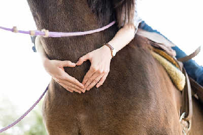 Conditions or Disorders Treated by Equine Assisted Psychotherapy Equine therapy goes beyond just caring for and riding a horse. Horses tend to read the body language of those around them, often gravitating toward specific people.  Horses can have a calming and healing effect on those who need it.  The following are some of the conditions and disorders than are treated with Equine therapy:  Substance Abuse Addiction Behavior Disorders Mood Disorders Eating Disorders Learning Differences Grief/loss Trauma Bipolar Depression Anxiety