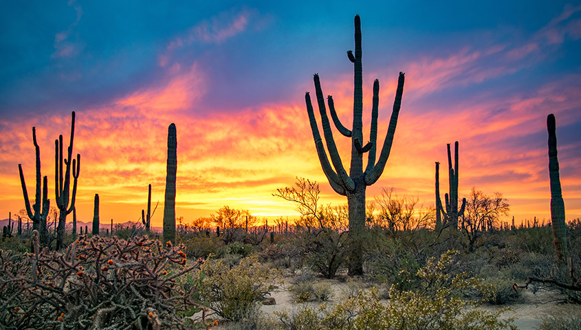 Wilderness Therapy Programs for Troubled Teens