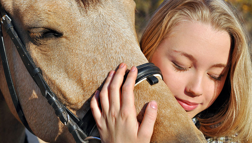 Equine Therapy